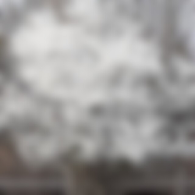 moboko (66) aus 30 km von Schwerin