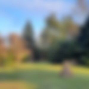 moboko (66) aus 30 km von Schwerin