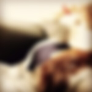 Chrisi89 (36) aus Gotha