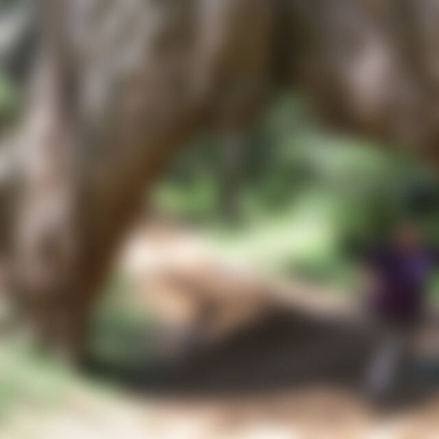 Newgrange (54) aus Schönheide