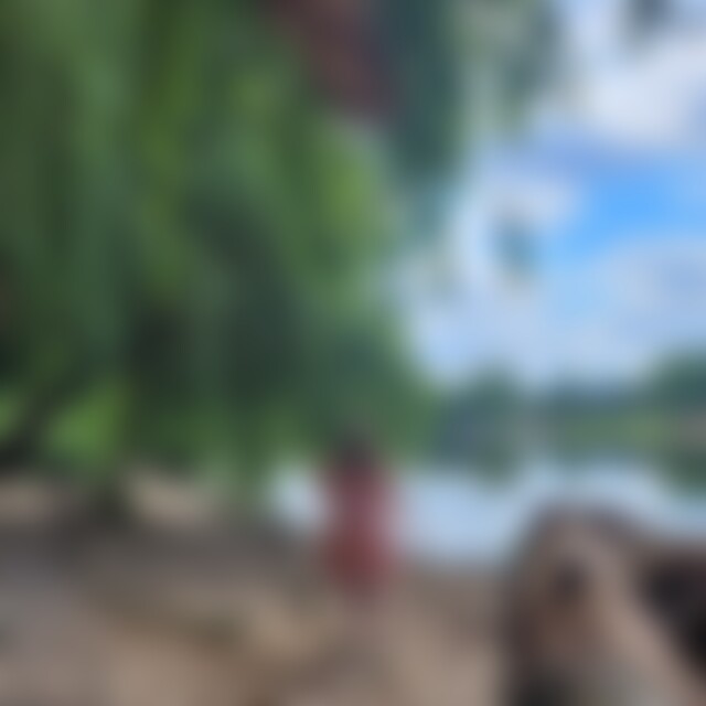 BlumeUte (51) aus Maintal