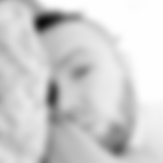 DomeKleve (37) aus Kleve