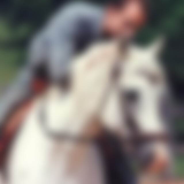 Horsesense (57) aus Nürnberg