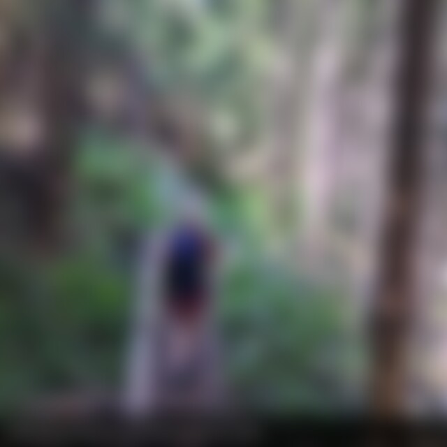 Gowigenial (60) aus Rhein-Pfalz-Kreis