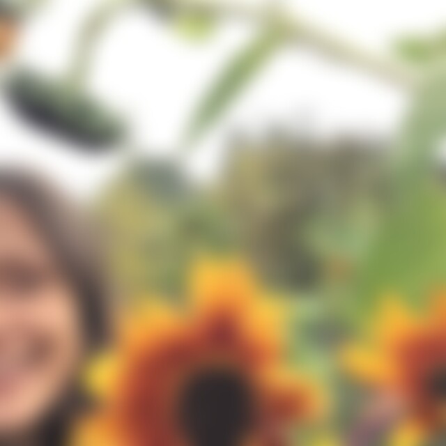 Sonnenstrahlen (57) aus Berlin