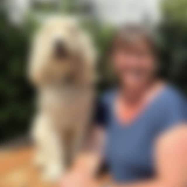 Augenhoehe2 (56) aus Moers