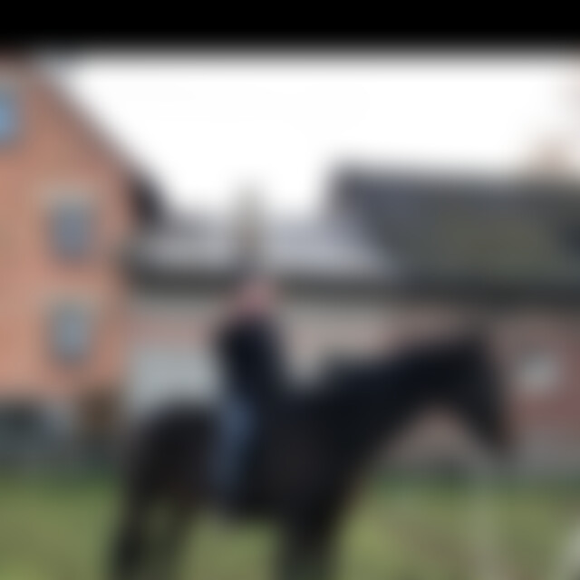 Christliche (49) aus Wetter