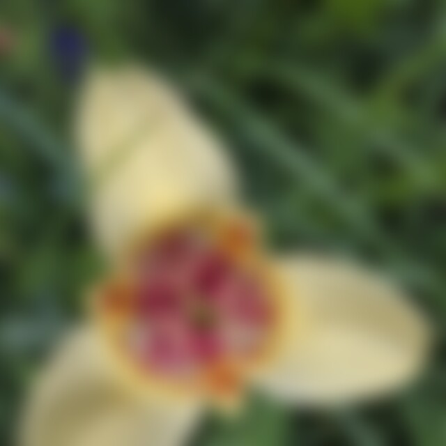 Wegweiser (70) aus Limburgerhof