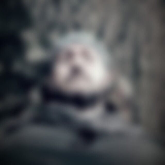 2Tim478 (46) aus Rastatt