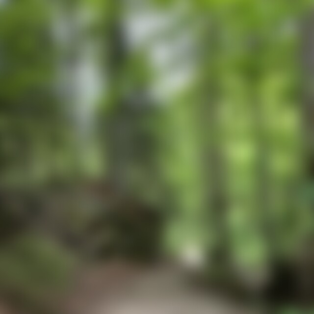 Theddy (68) aus Bern