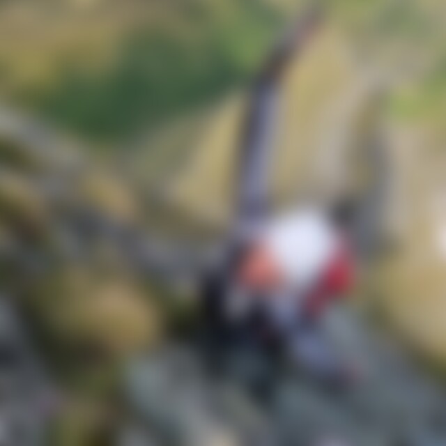 Holziholz (35) aus Dettingen Teck