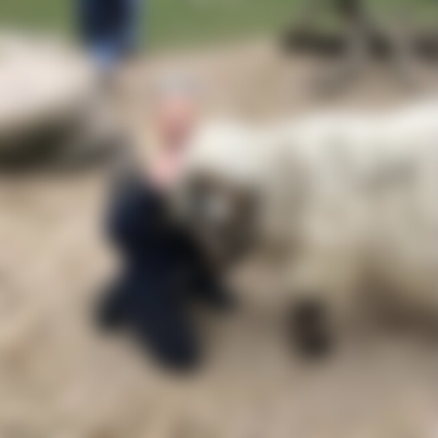 BlonderEngelKiel (49) aus Kiel