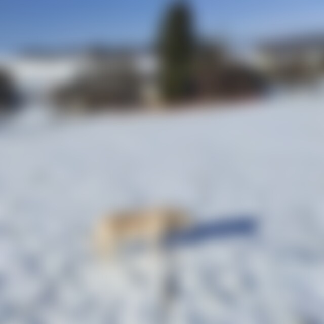 Schneewittchen67 (58) aus Hartmannsdorf
