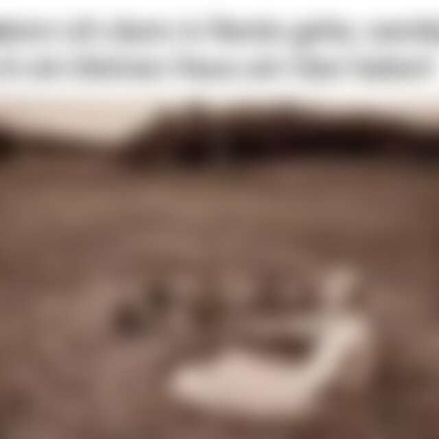 Pruefling (65) aus Hamburg