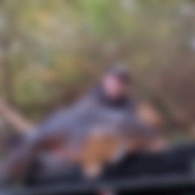 DerFischer (35) aus Vlotho