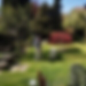 FINDMICH (82) aus Stadthagen