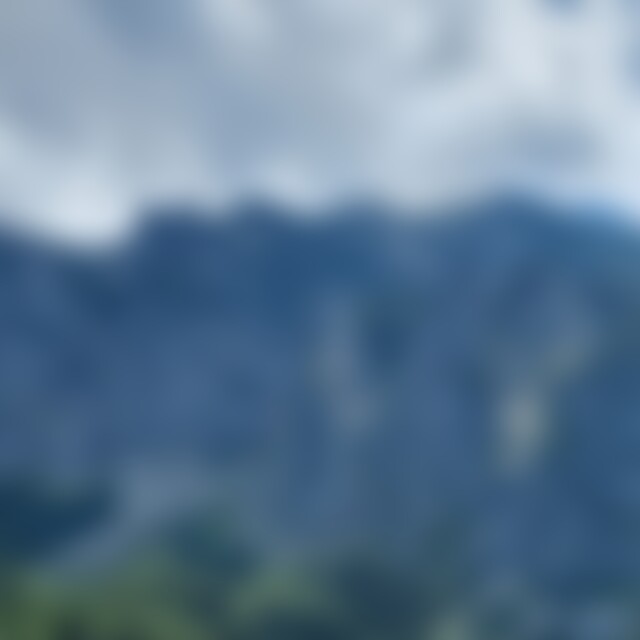 MK001 (43) aus Desselbrunn