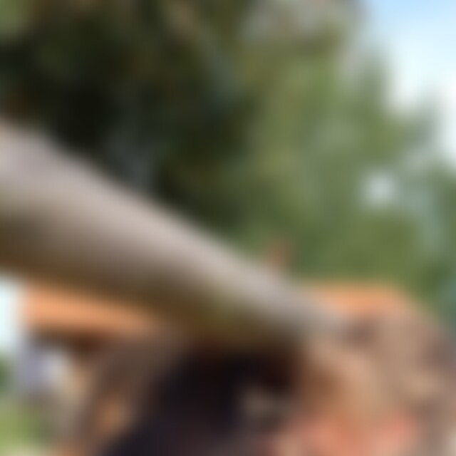 Dani (29) aus Traunstein