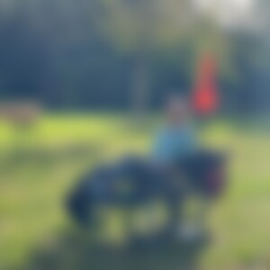 Bauwagen (58) aus Singen HTWL