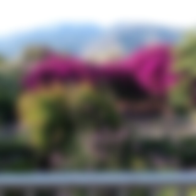 Wiederum (71) aus Orgiva/ Andalusien/ Spanien