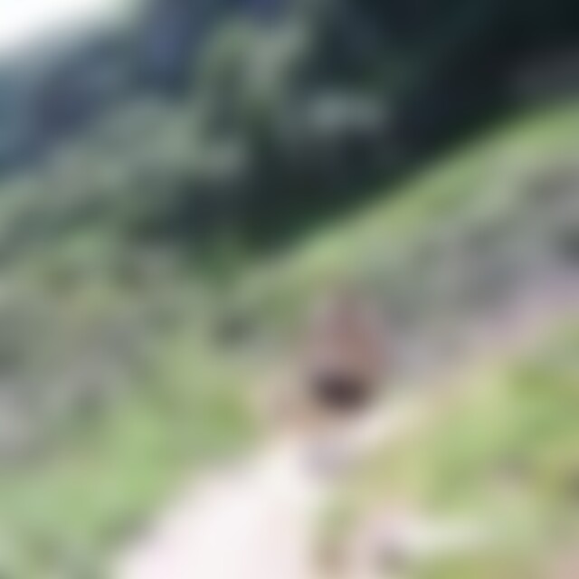 Damo (61) aus Offenbach