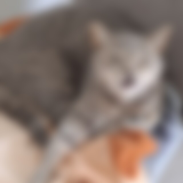 Vicky (46) aus Königsbrunn