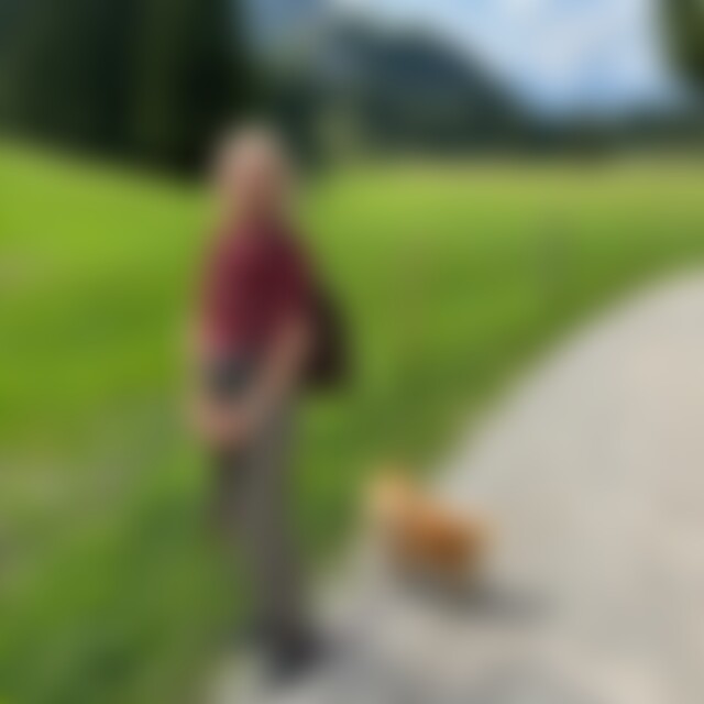 Brieftaube (56) aus Würzburg