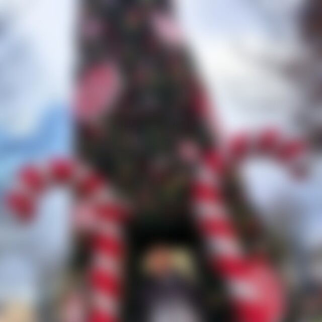 Dennish94 (32) aus Hilsbach