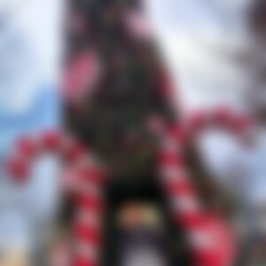 Dennish94 (32) aus Hilsbach