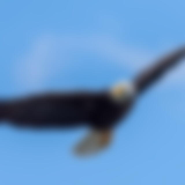 Seaeagle (59) aus Esslingen