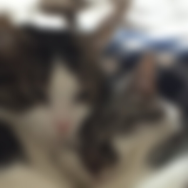 heavensgirl (60) aus 