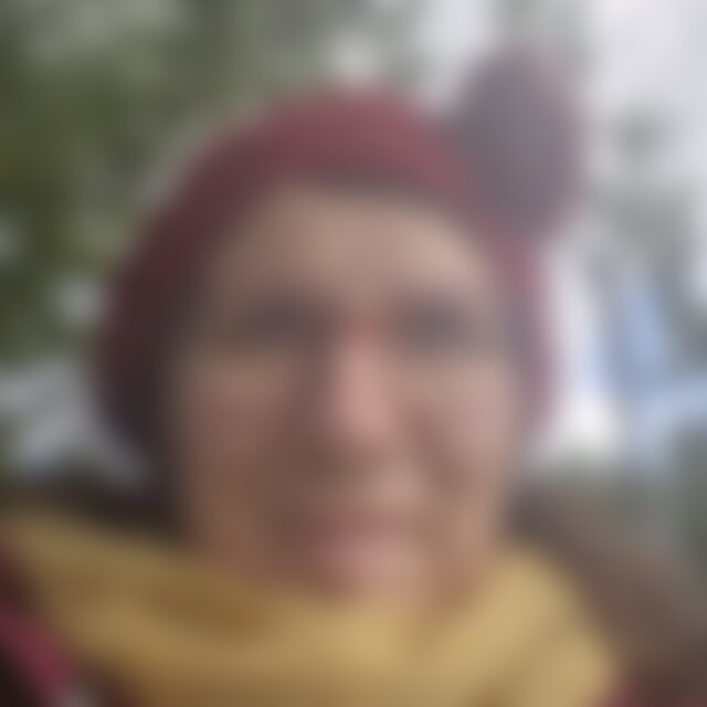 Sonnenblume137 (39) aus O.