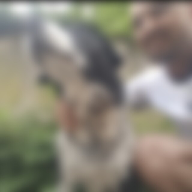 Liiebe (45) aus Bergheim