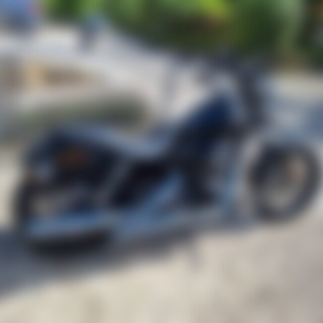 Falconehund (54) aus Rösrath