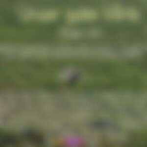 JesusIstMeinHerr (49) aus München