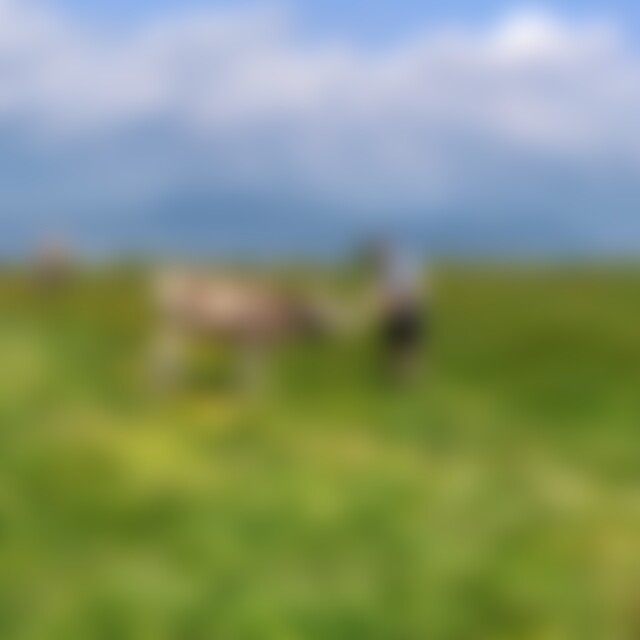 Stefan1904 (32) aus Baiersbronn