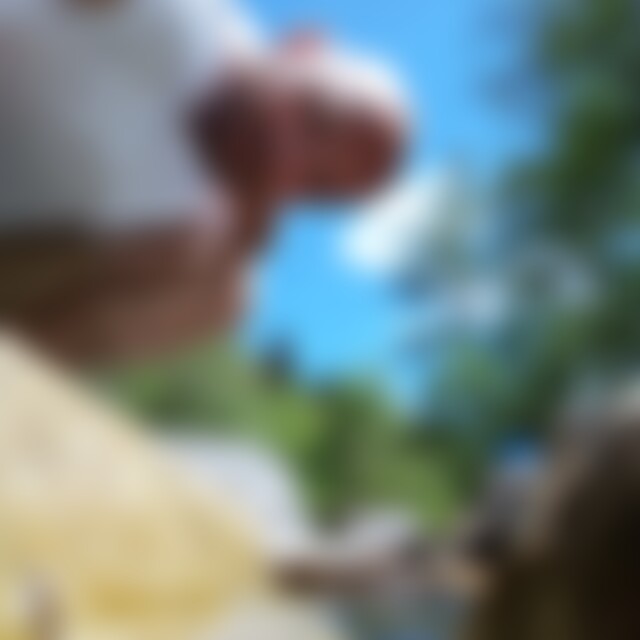 designo (41) aus St. Georgen