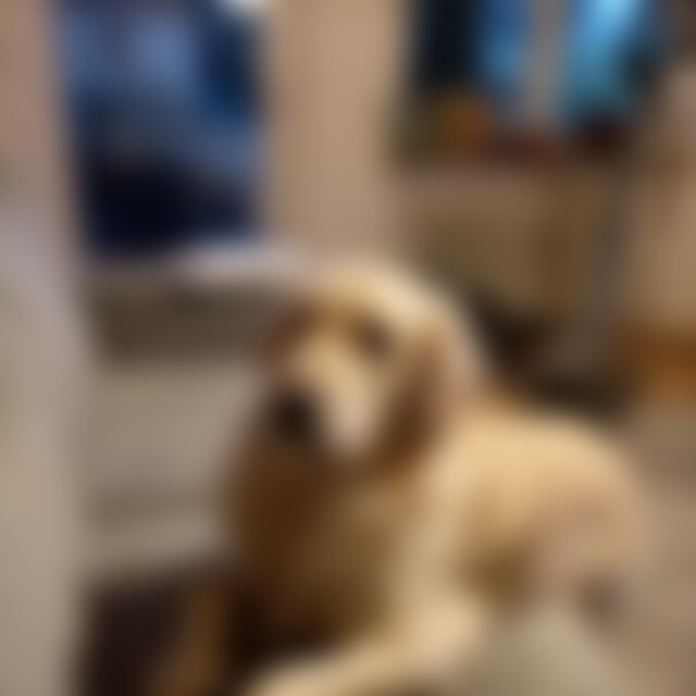 Josef2025 (38) aus Regensburg