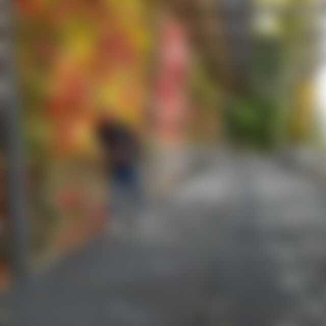 notiduR (58) aus Zürich