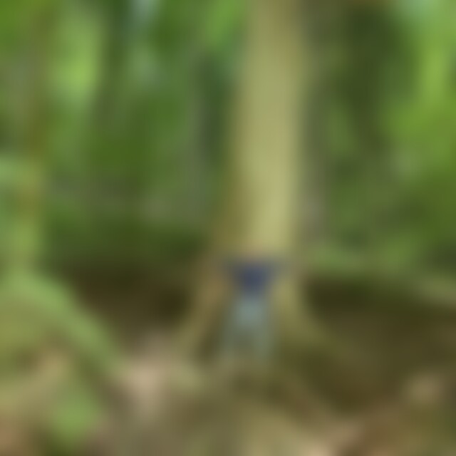 JoelKoch (31) aus Reutlingen