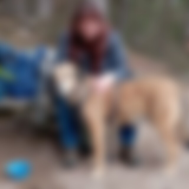 Anderle (54) aus Oberkirch
