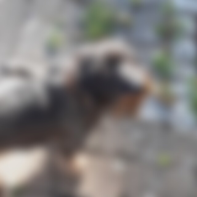 DieterHermann (62) aus Petershagen