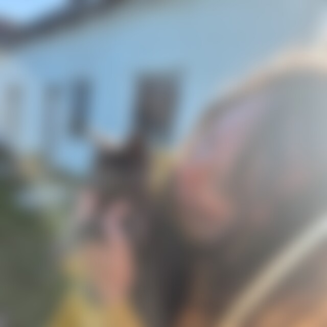 Yada (38) aus Flensburg