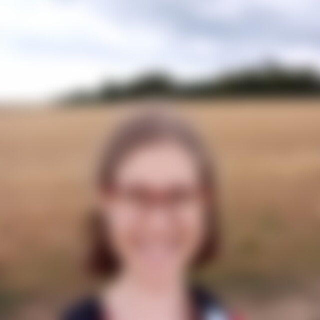 Seesschwalbe (27) aus Bünde
