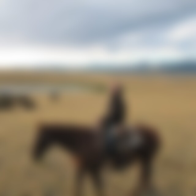 PK777 (36) aus Stuttgart