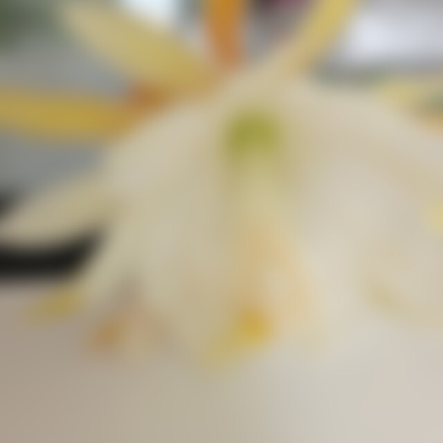 Diener (63) aus Windeck