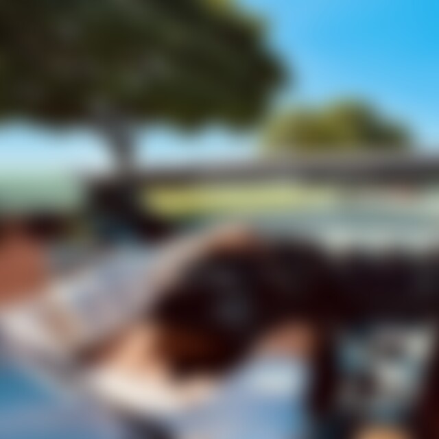 Casimi (35) aus Delbrück