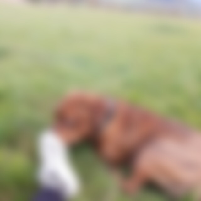 Blickwechsel (59) aus Aue-Bad Schlema