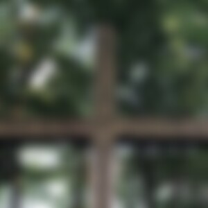 Angekommen (61) aus NRW