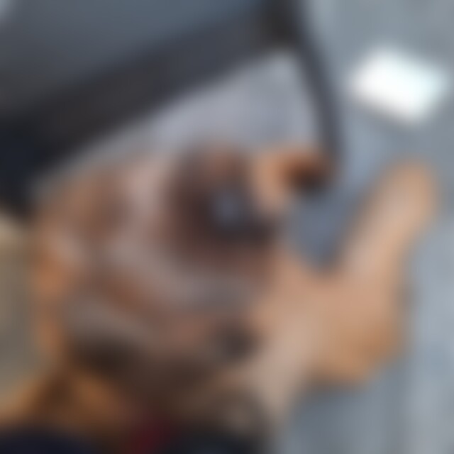 sabrine (58) aus Bad Krozingen